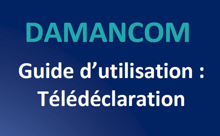DAMANCOM (nouvelle plateforme) : GUIDE D'UTILISATION TELEDECLARATION