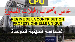 Contribution Professionnelle Unique CPU